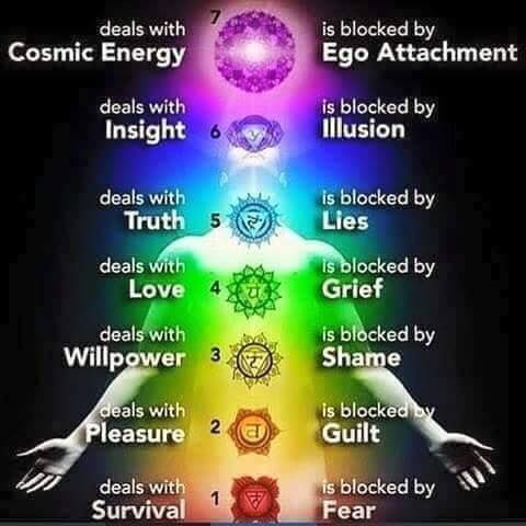 7 Chakras & Energy.jpg